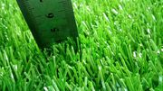 Искусственный газон ( трава)
